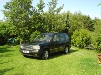 27th June 2010 067